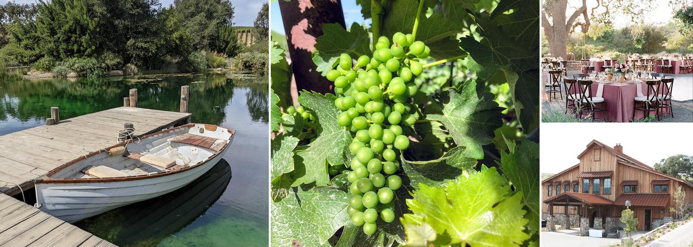 Grassini Family Vineyards and Winery