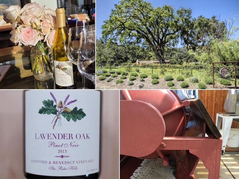 Lavender Oak Vineyard