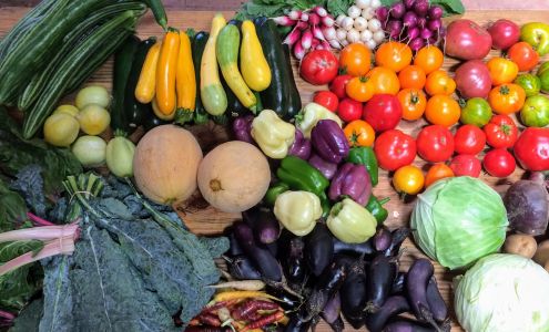 Raw Roots Farm Catheys Valley