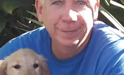 The Miami Dog Whisperer Dog Training