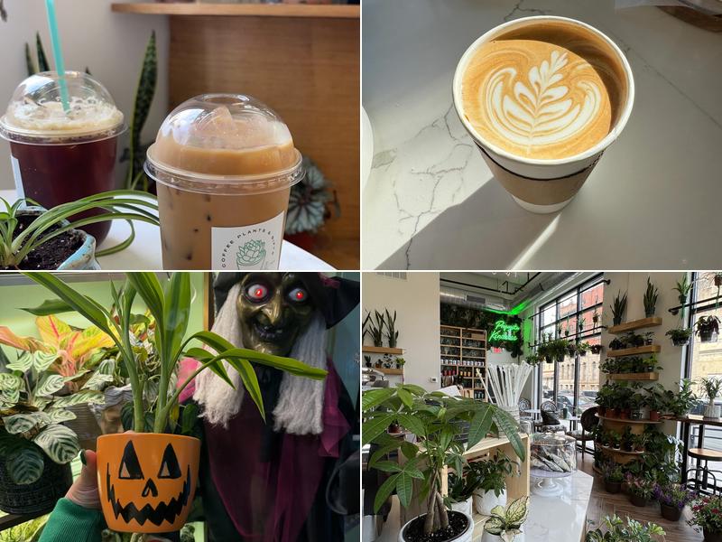 The Ground Coffee, Plants & Gifts