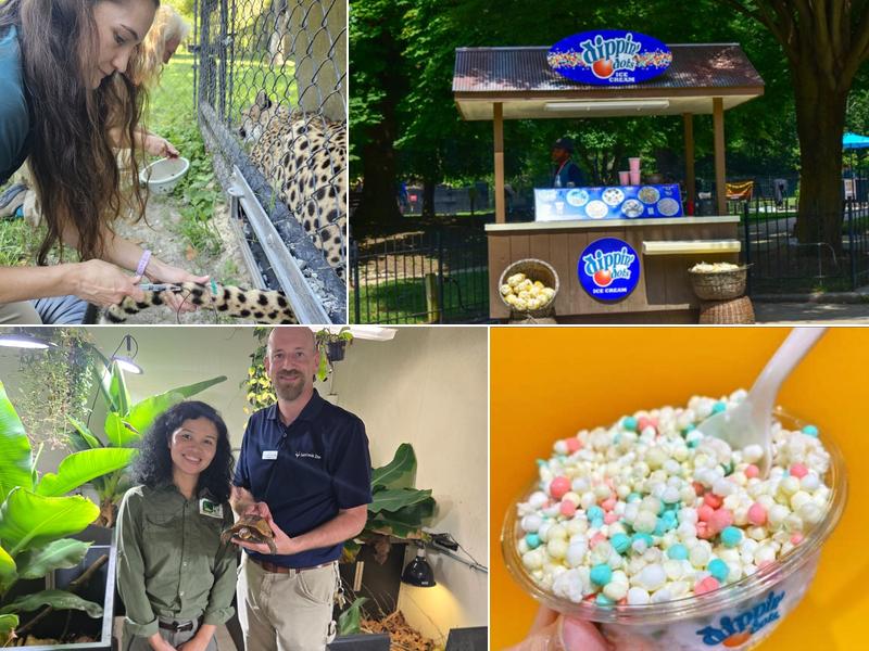 Dippin’ Dots Ice Cream