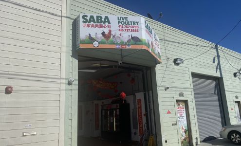 Saba Live Poultry 2