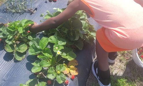 Elroy Farms Farm Market