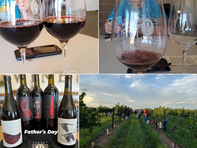 Bodega Pierce Vineyard & Tasting Room