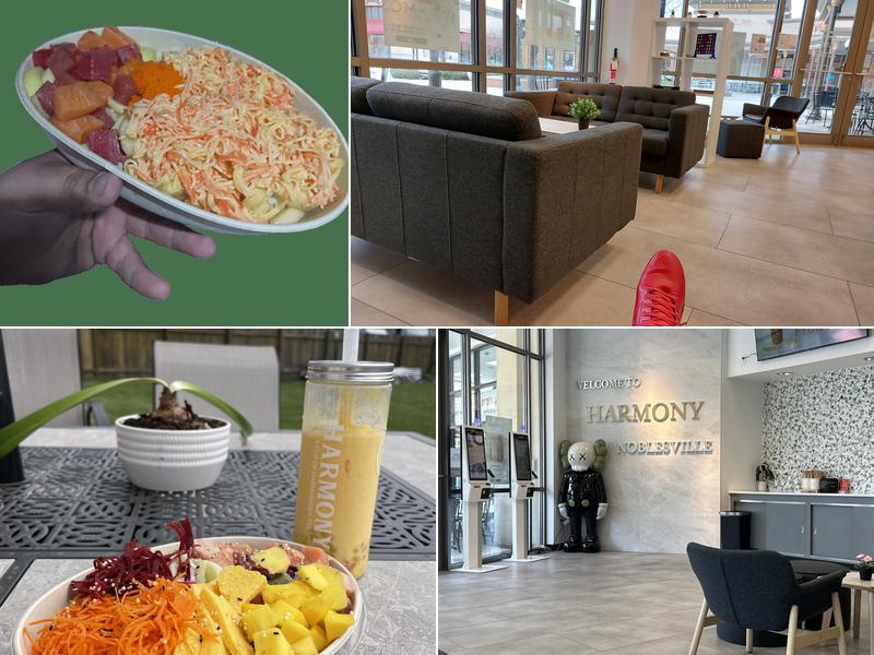 harmony tea shoppe 13971 Town Center Blvd Suite 200, Noblesville