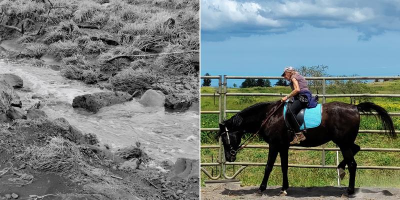 Lotus Catering and Events Maui