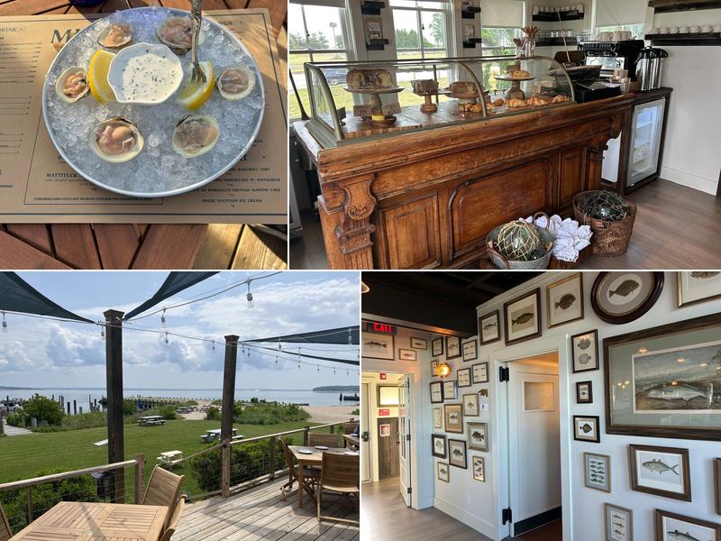 Minnow At The Galley Ho