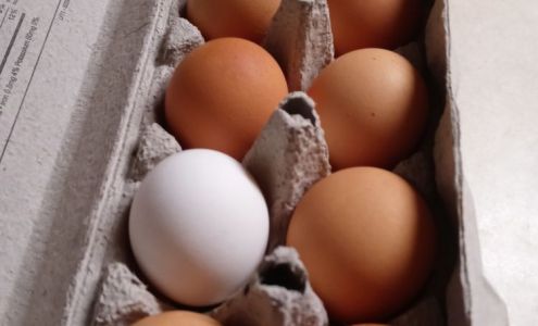 Kroger Floral Department