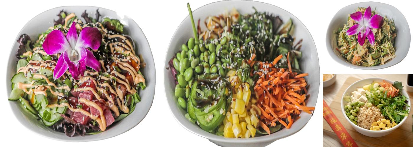 Pokelicious Fusion Cuisine Menu