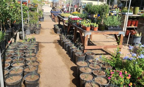 Sunset Nursery & Ted's Mercantile