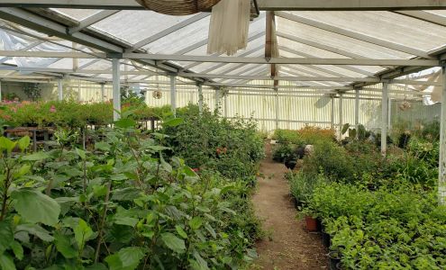 Buena Creek Nursery