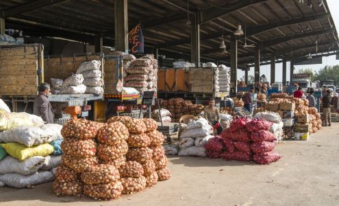 Cactus Melon Distributing, Inc.