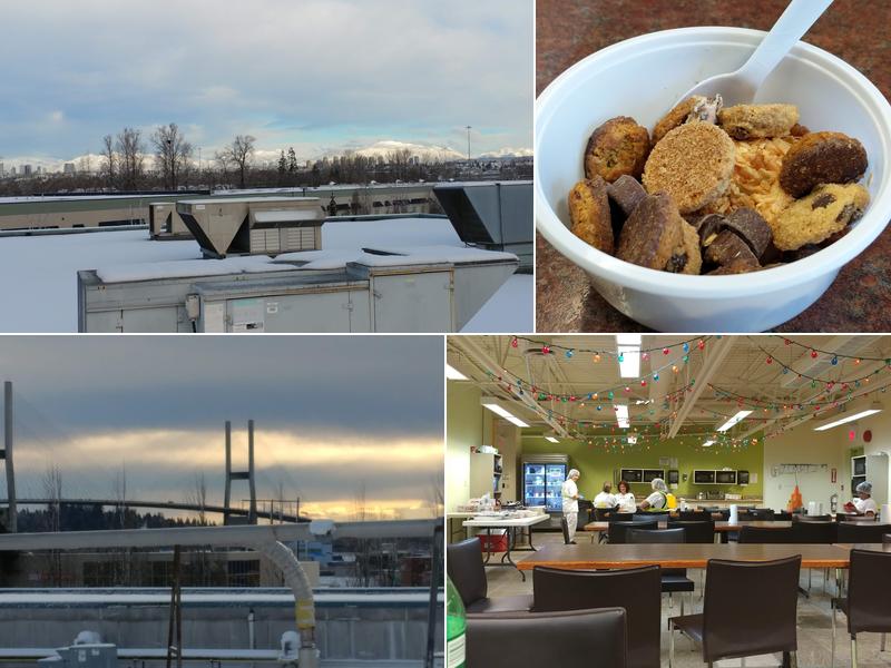 The Original Cakerie, Ltd.