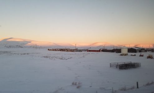 Shelby Distributors Shelby