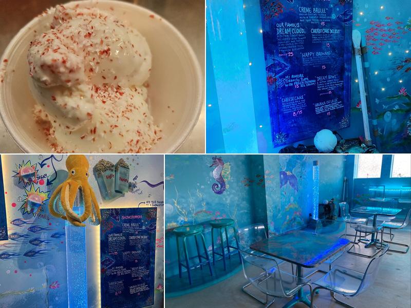 Best Ice Cream “Under The Sea Experience”