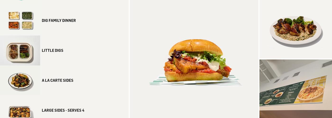 DIG Menu