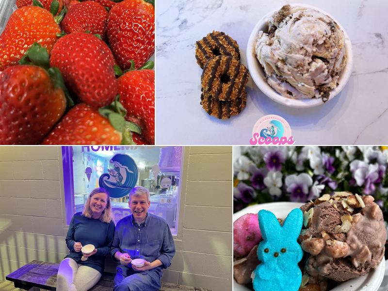 Scoops Microcreamery @ Topsail Beach