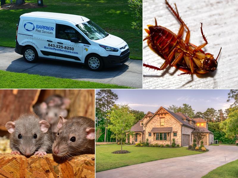 Barrier Pest Services