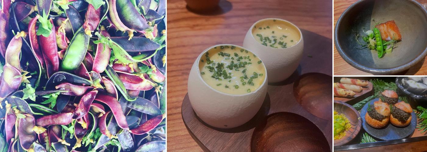 DaniBensimon Catering