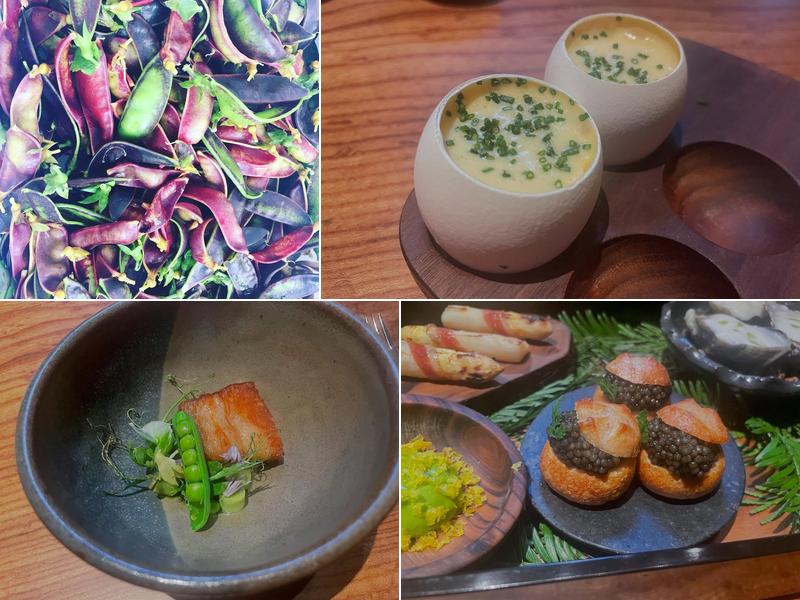 DaniBensimon Catering