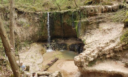 Clark Creek Natural Area Woodville
