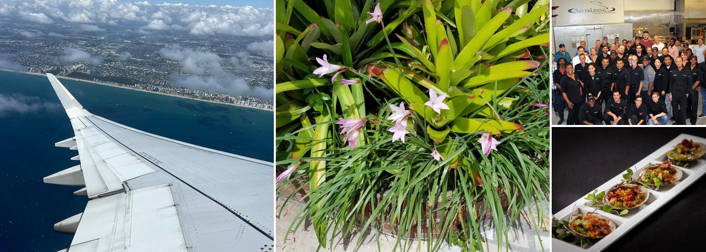 Silver Lining Inflight Catering