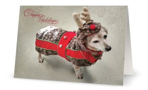 Plimoth Glass & Home Improvements