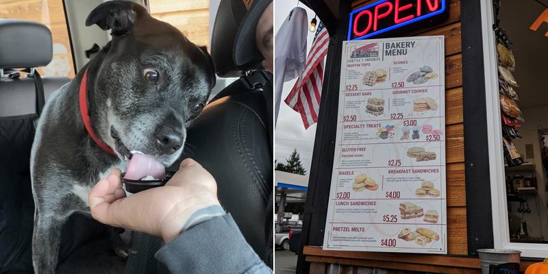 Java Junction Coffee Company