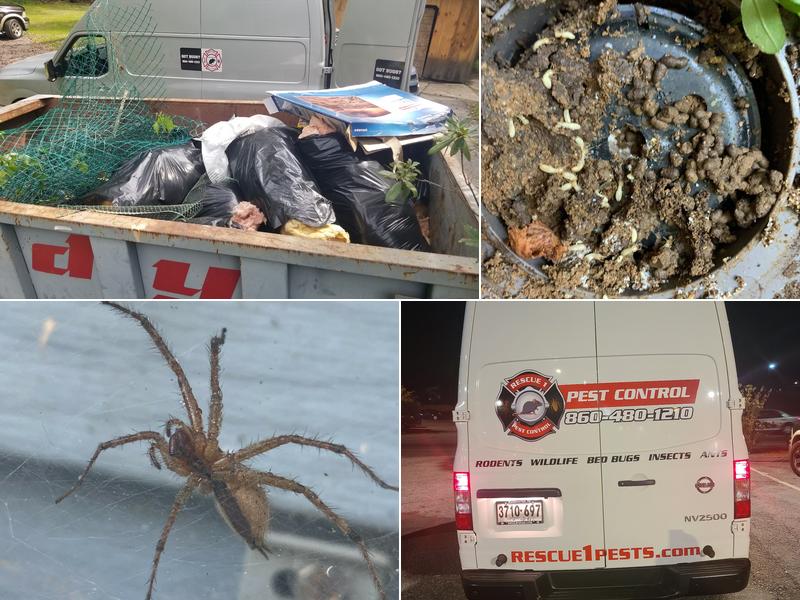 Rescue 1 Pest & Termite Control