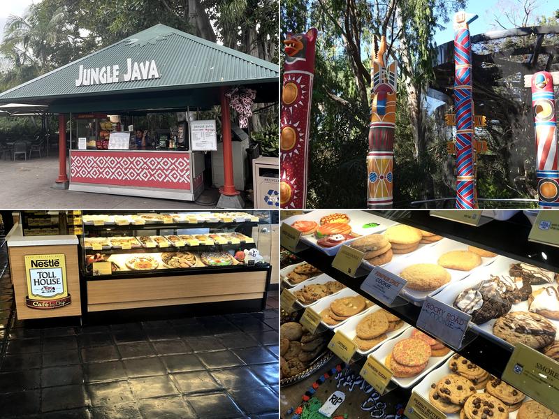 Jungle Java