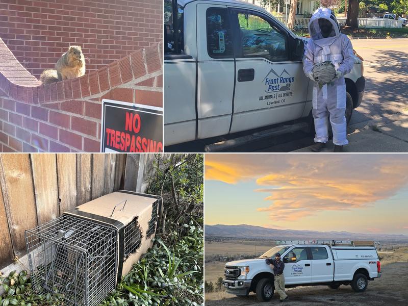 Front Range Pest