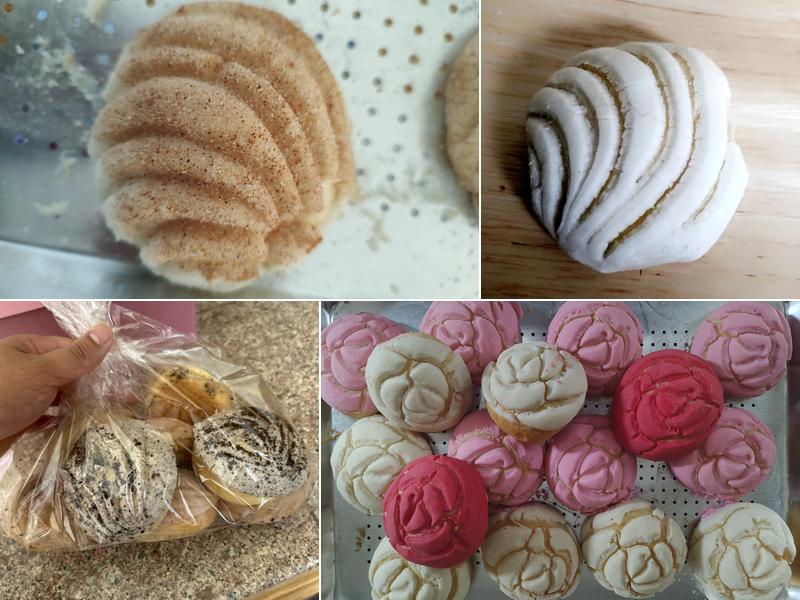 Concha Dreams 1674 East Ave, Hayward