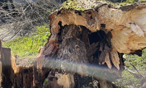 Golf Course Square Apartments