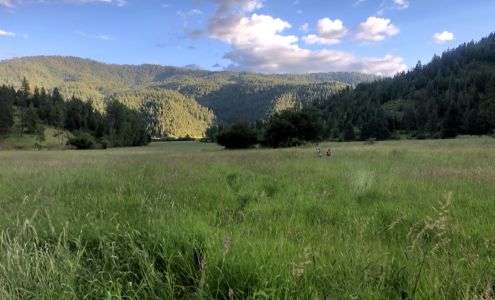 The Willows At Wolf Lodge