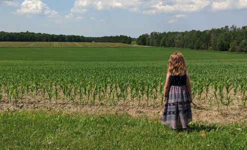 Ferme Brassard & fils Plessisville