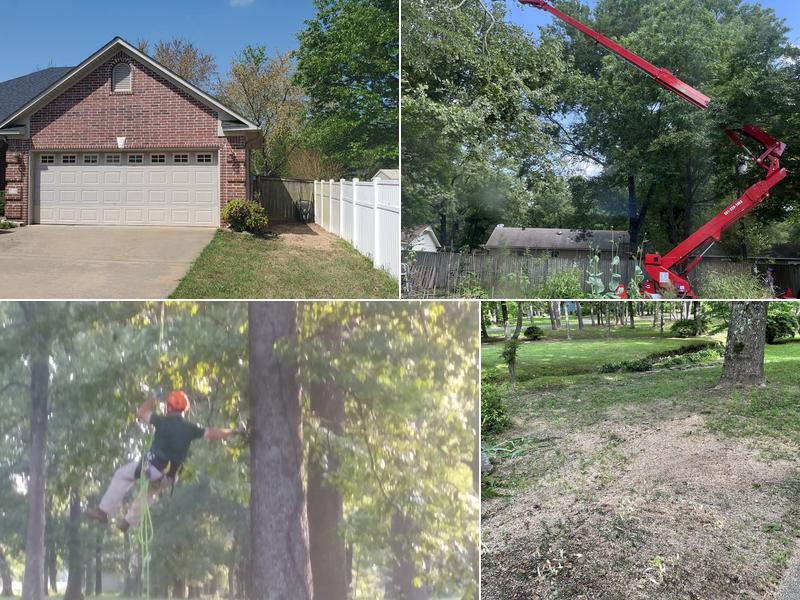 Arkansas Tree and Stump, Inc.