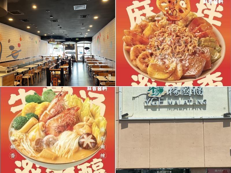 YGF Malatang 杨国福麻辣烫