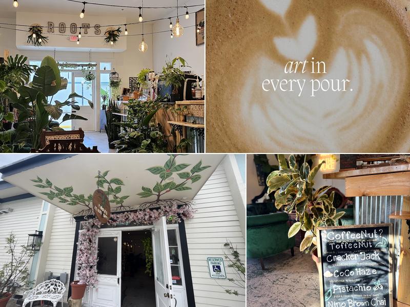 Roots Plants + Coffee