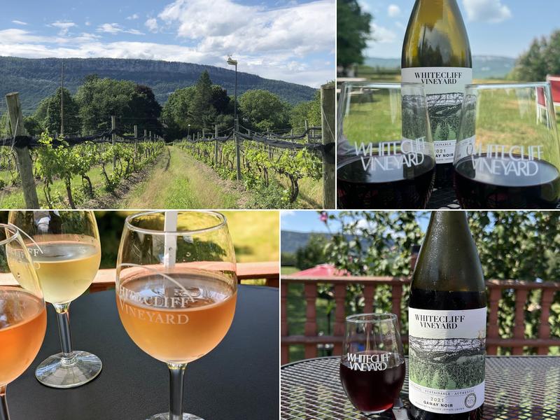 Whitecliff Vineyard & Winery