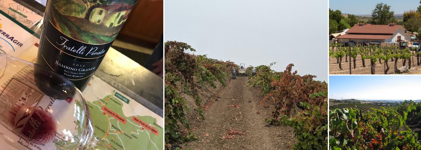 Fratelli Perata Winery