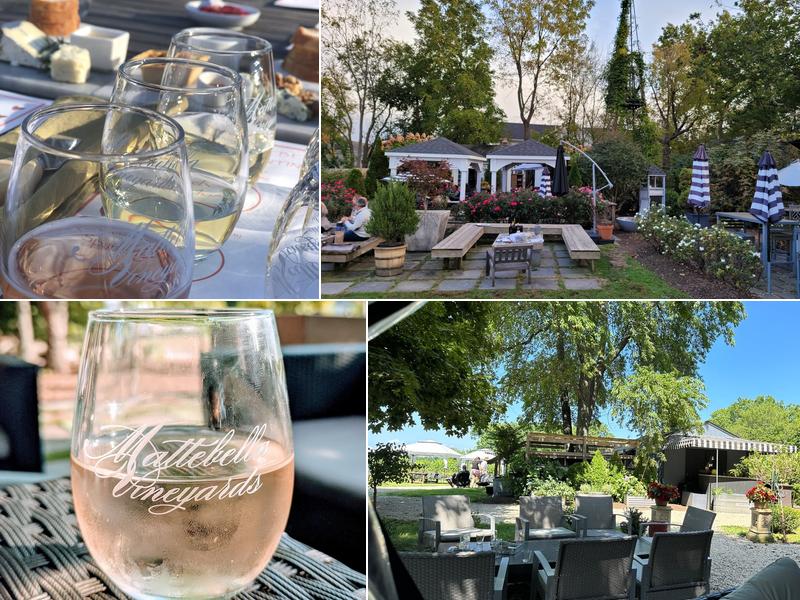 Mattebella Vineyards