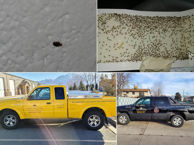 Uinta Pest Solutions