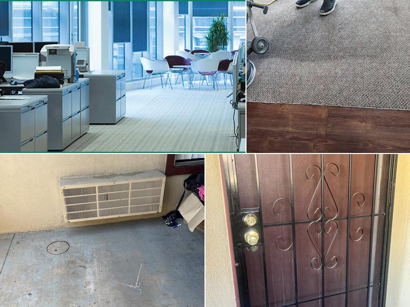 Del Sol Carpet Cleaning