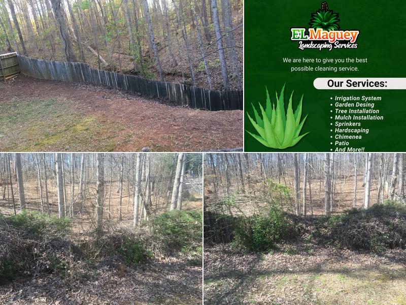 El Maguey Landscaping-Garden designs and construction-Landscaping