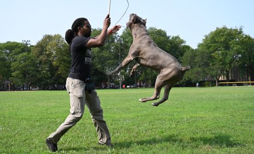 Leash Drop Canine LLC