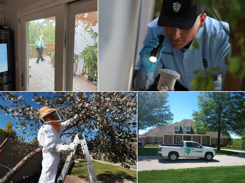 EcoShield Pest Solutions