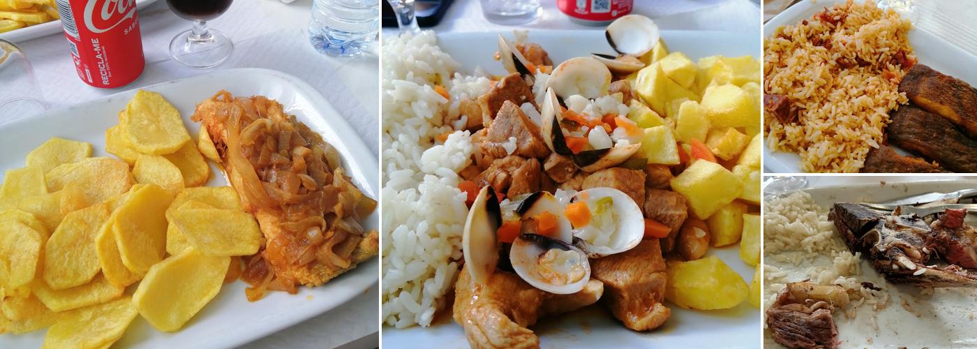 Ponto de Encontro - Lobods Natos