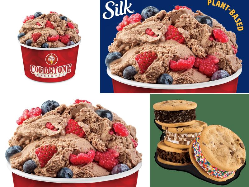 Cold Stone Creamery 1646 Bruce B Downs Blvd, Wesley Chapel