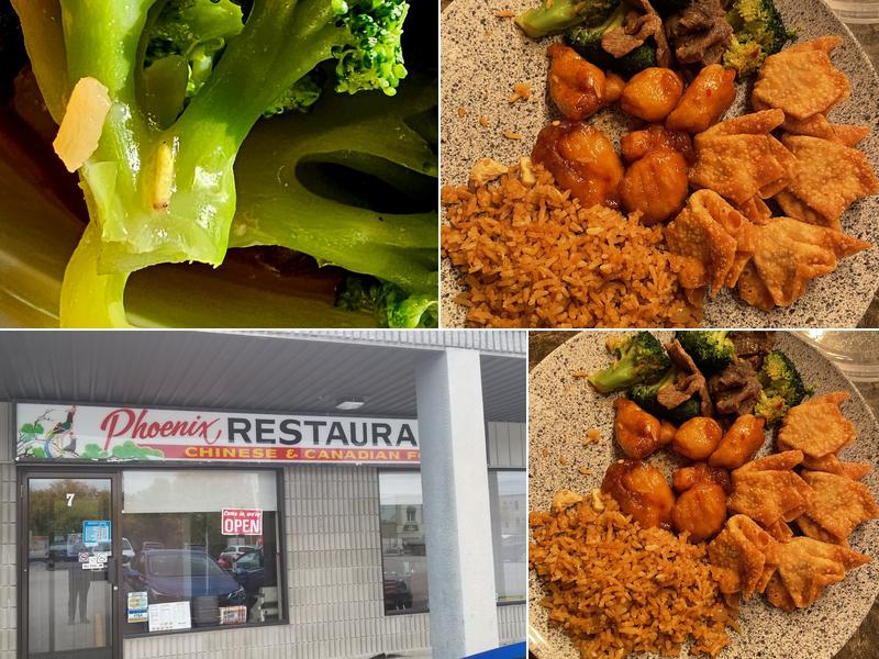 Phoenix Restaurant 26 Main St N, Callander